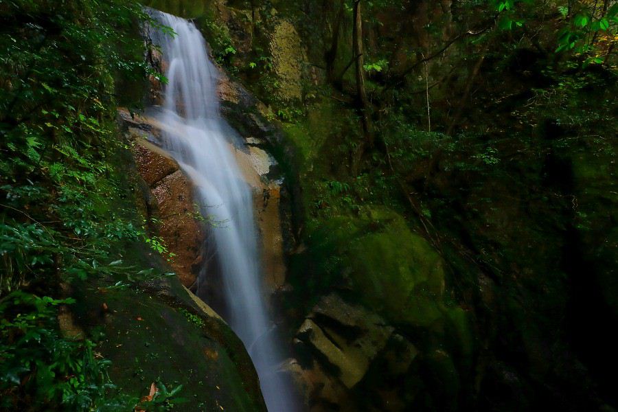 竜門の滝（りゅうもんのたき）・寂地峡五竜の滝（じゃくちきょうごりゅうのたき）・【山口県岩国市】