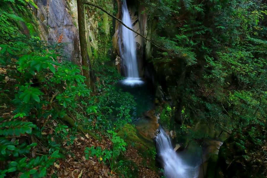 竜頭の滝(りゅうずのたき)・寂地峡五竜の滝(じゃくちきょうごりゅうのたき)・【山口県岩国市】