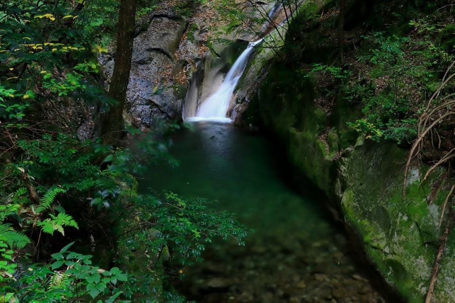 登竜の滝(とうりゅうのたき)・寂地峡五竜の滝(じゃくちきょうごりゅうのたき)・【山口県岩国市】