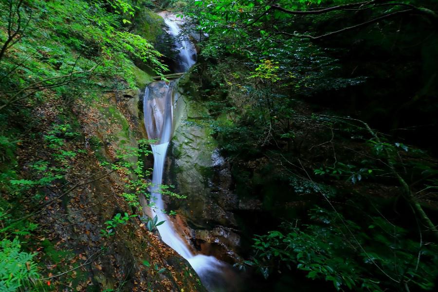 登竜の滝(とうりゅうのたき)・寂地峡五竜の滝(じゃくちきょうごりゅうのたき)・【山口県岩国市】