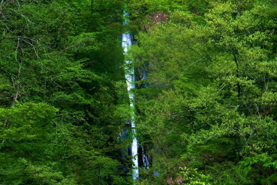 穴観音滝　【大柳川渓谷　山梨県富士川町】