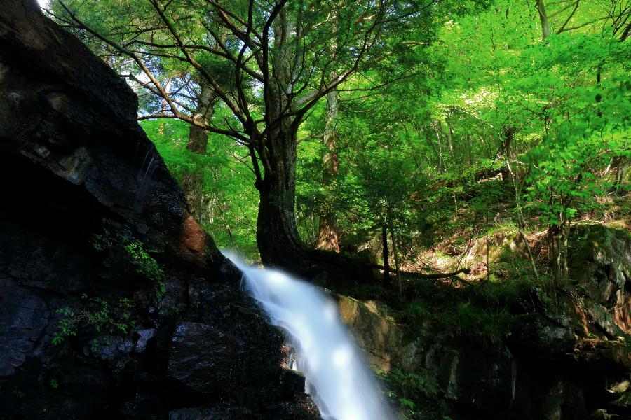 父の白滝　（ちちのしらたき）　【山梨県富士河口湖町】