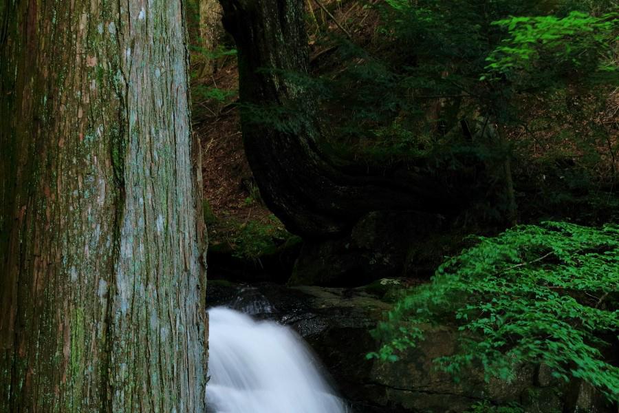 父の白滝　（ちちのしらたき）　【山梨県富士河口湖町】