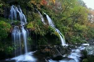 吐竜の滝　（山梨県）