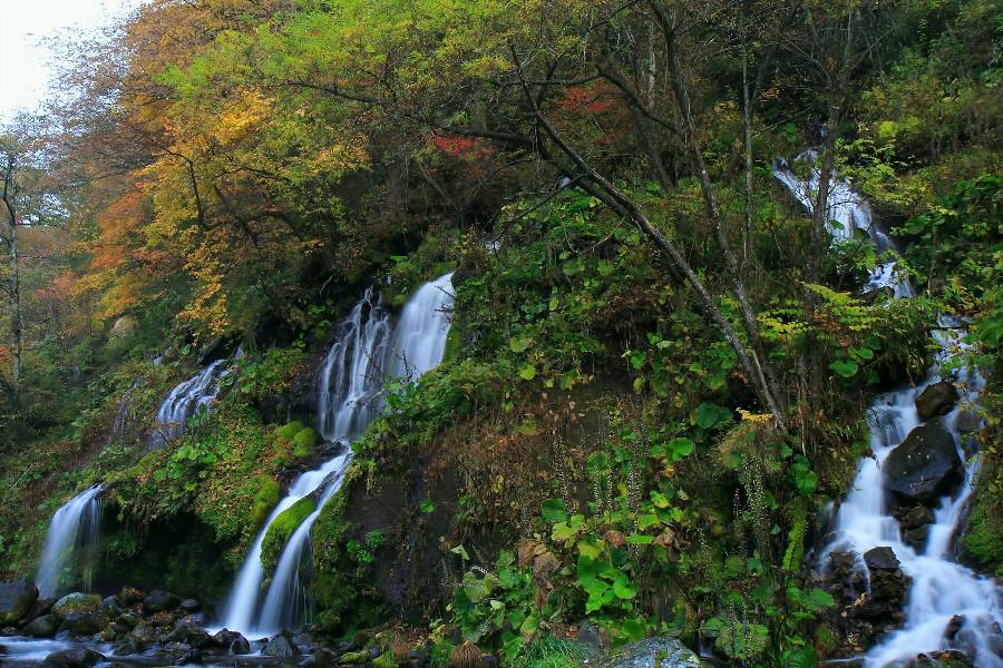 吐竜の滝