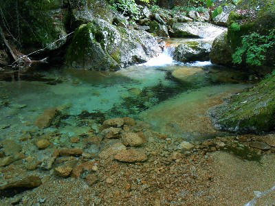 瑞牆山登山道途中の沢の景観