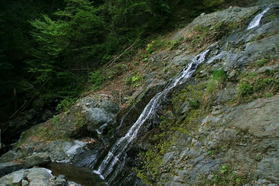 五段の滝　【大柳川渓谷　山梨県富士川町】