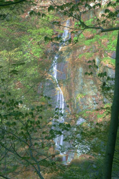 恋糸の滝