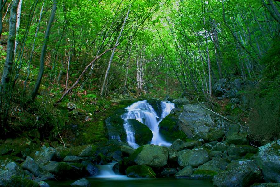 荒神の滝(徳和渓谷)