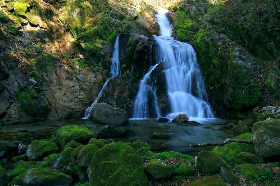 桑の木滝（桑の木沢）