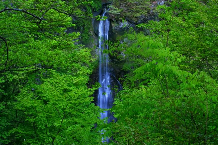 まぼろしの滝　【大柳川渓谷　山梨県富士川町】