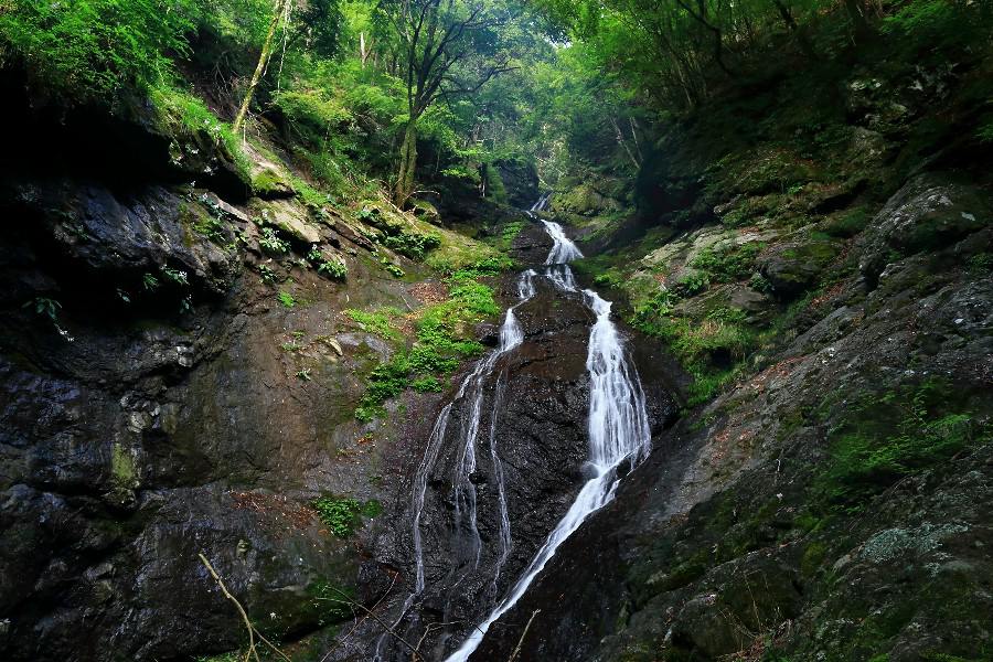 濁沢の滝　（にごりさわのたき）　【山梨県市川三郷町】