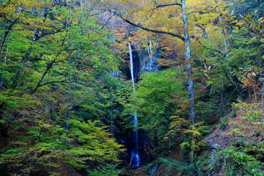 白糸の滝(秋)1