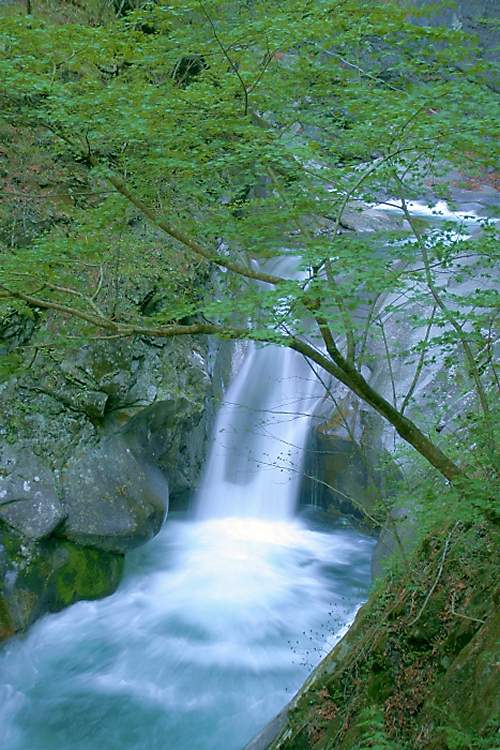 貞泉の滝