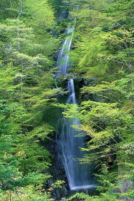 銚子口二段の滝　【大柳川　山梨県富士川町】