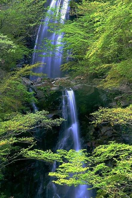 銚子口二段の滝　【大柳川　山梨県富士川町】