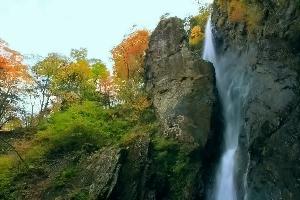 神奈川県の滝